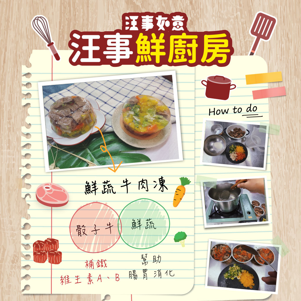 寵物牛肉食譜