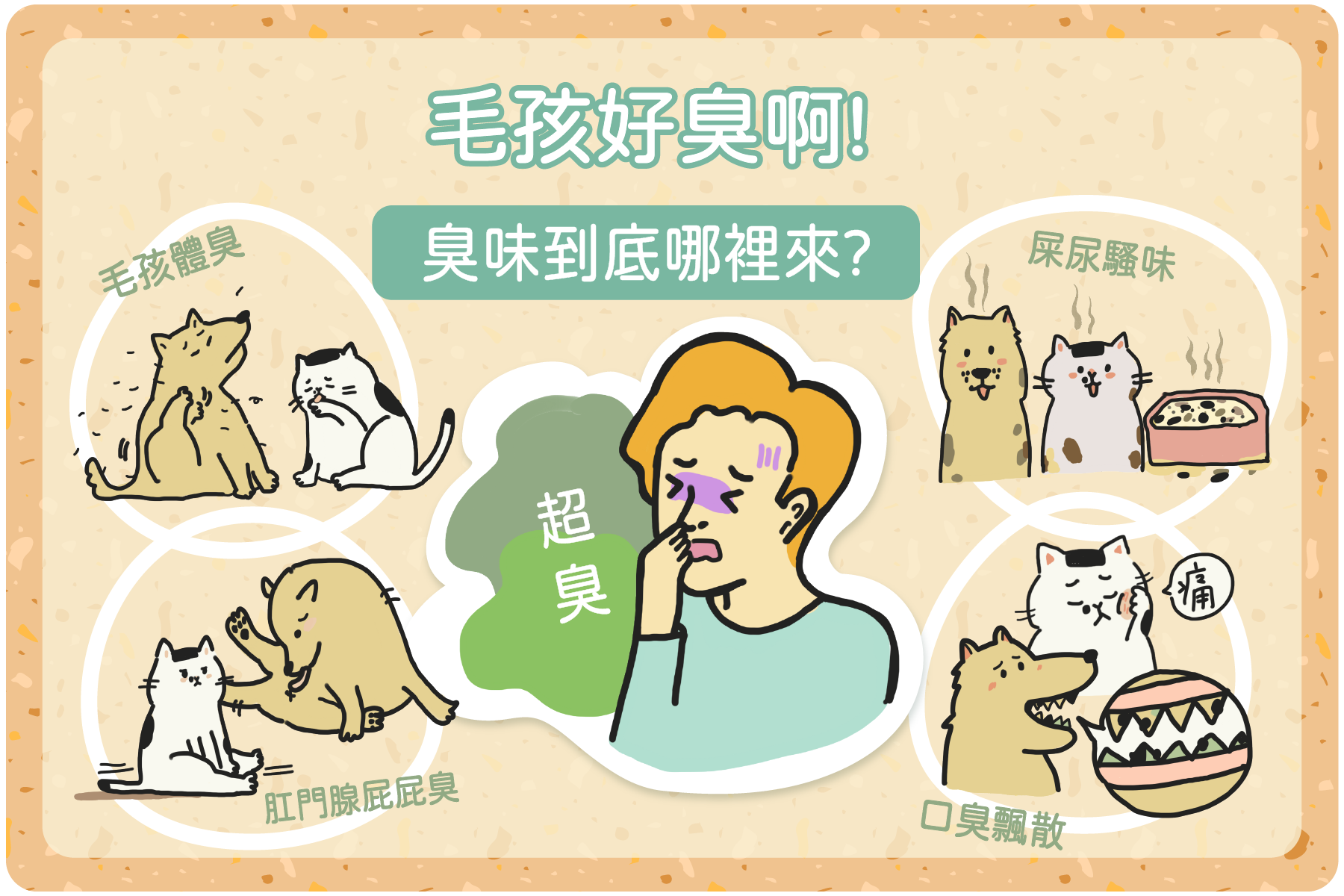 天哪!!毛孩好臭呀，寵物清潔你做對了嗎?｜Hururu 找出毛孩異味源頭！