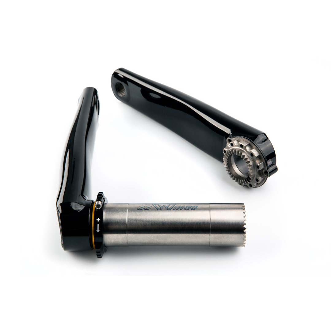 Cane Creek eeWings MTB Raven Titanium Crank Arm