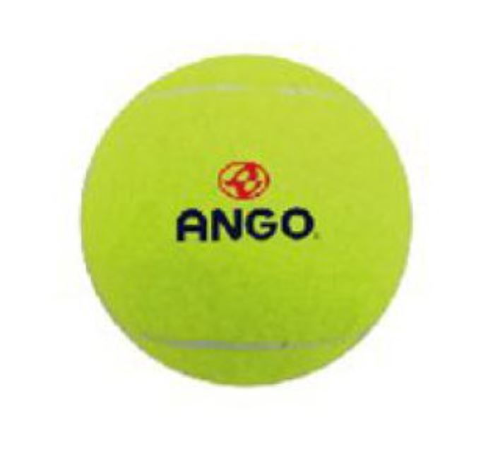 【ANGO】START 硬式教學用網球