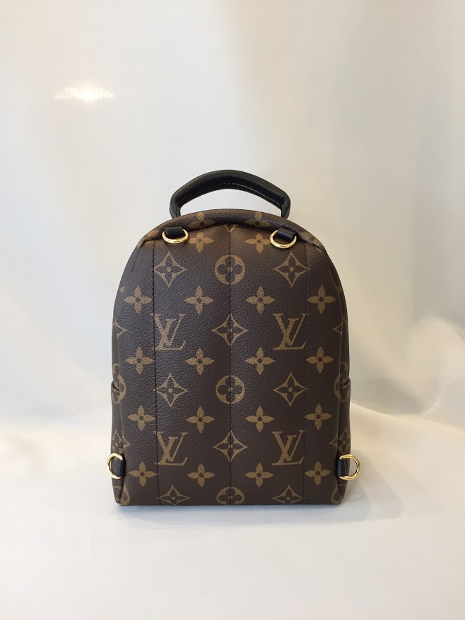 LV PALM SPRINGS MINI