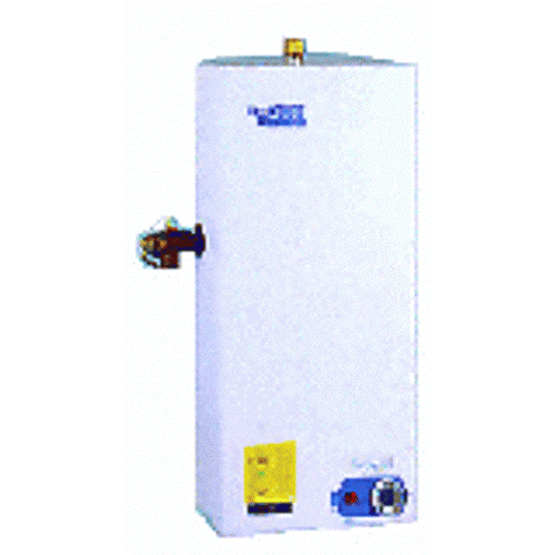 Winbo 威寶 WHP4 4加侖高壓式電熱水爐