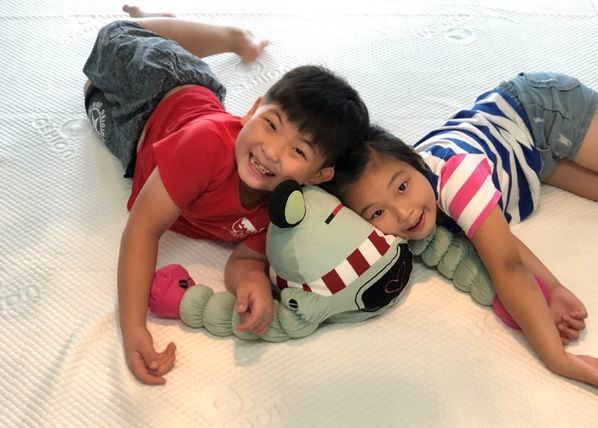 QSHION可水洗床墊