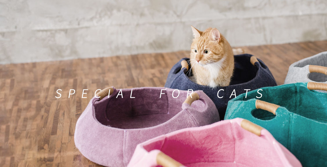 LIFEAPP CAT