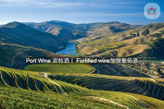 Port Wine 波特酒︳Fortified wine加強葡萄酒︳WineCouple 醇酒伴侶