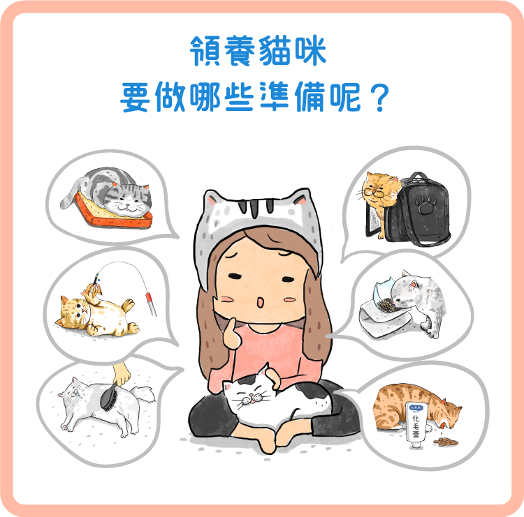 領養貓咪要做哪些準備