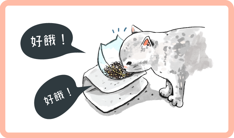 碗架  吃飯工具不能少