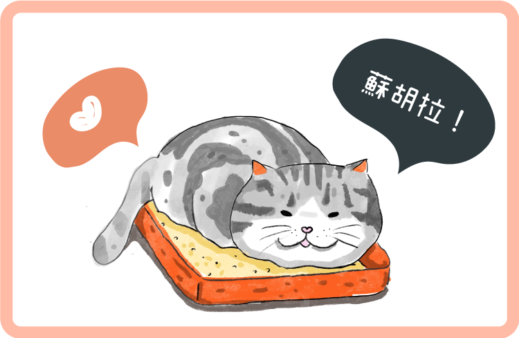 貓咪生活必需品之一就是貓砂及貓砂盆!
