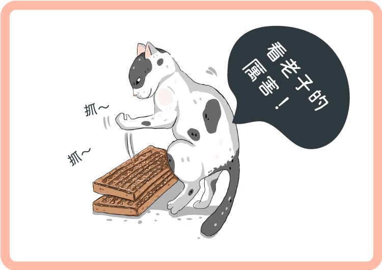 貓咪玩逗貓棒