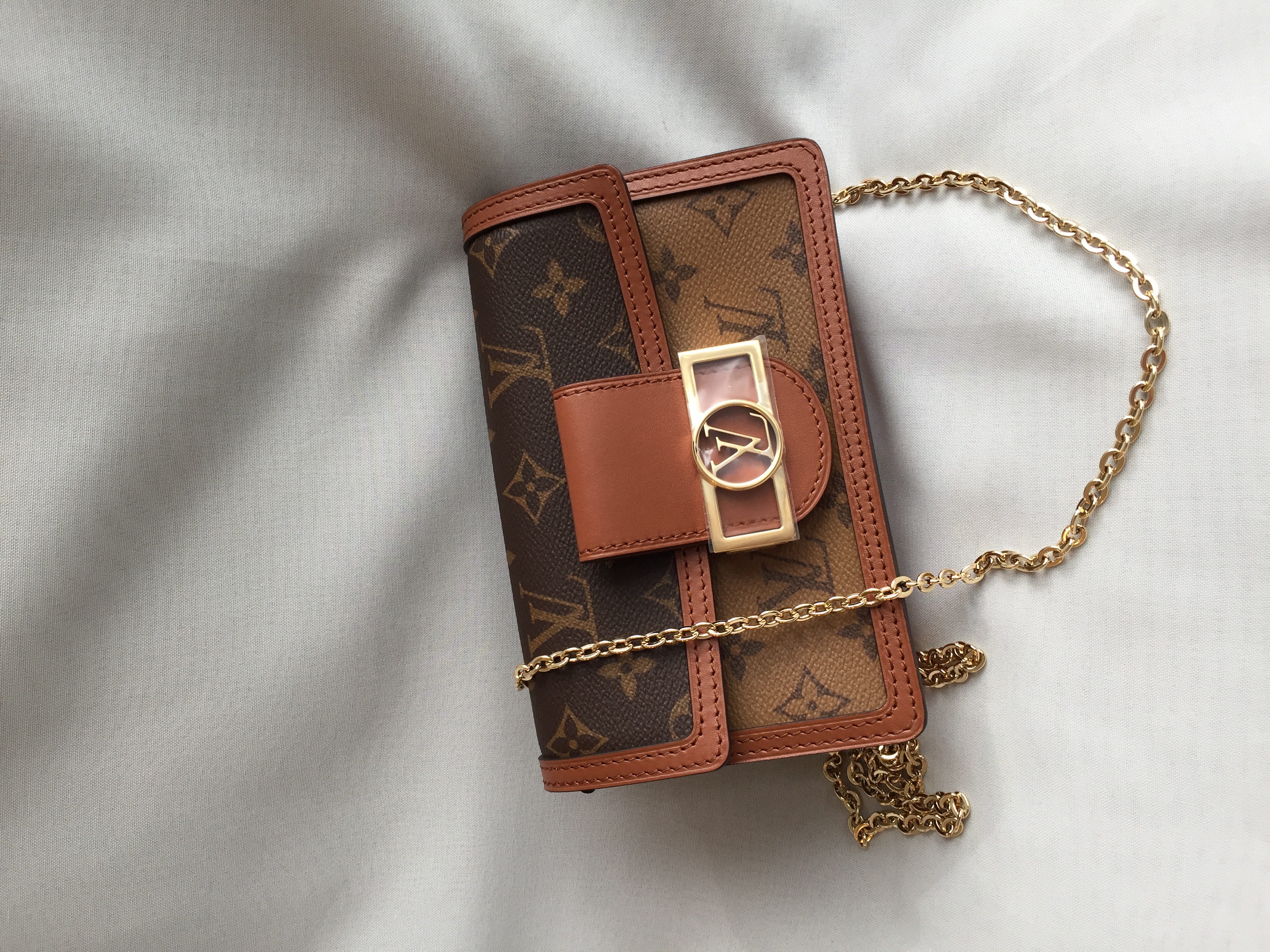 Louis Vuitton Dauphine Chain Wallet Review