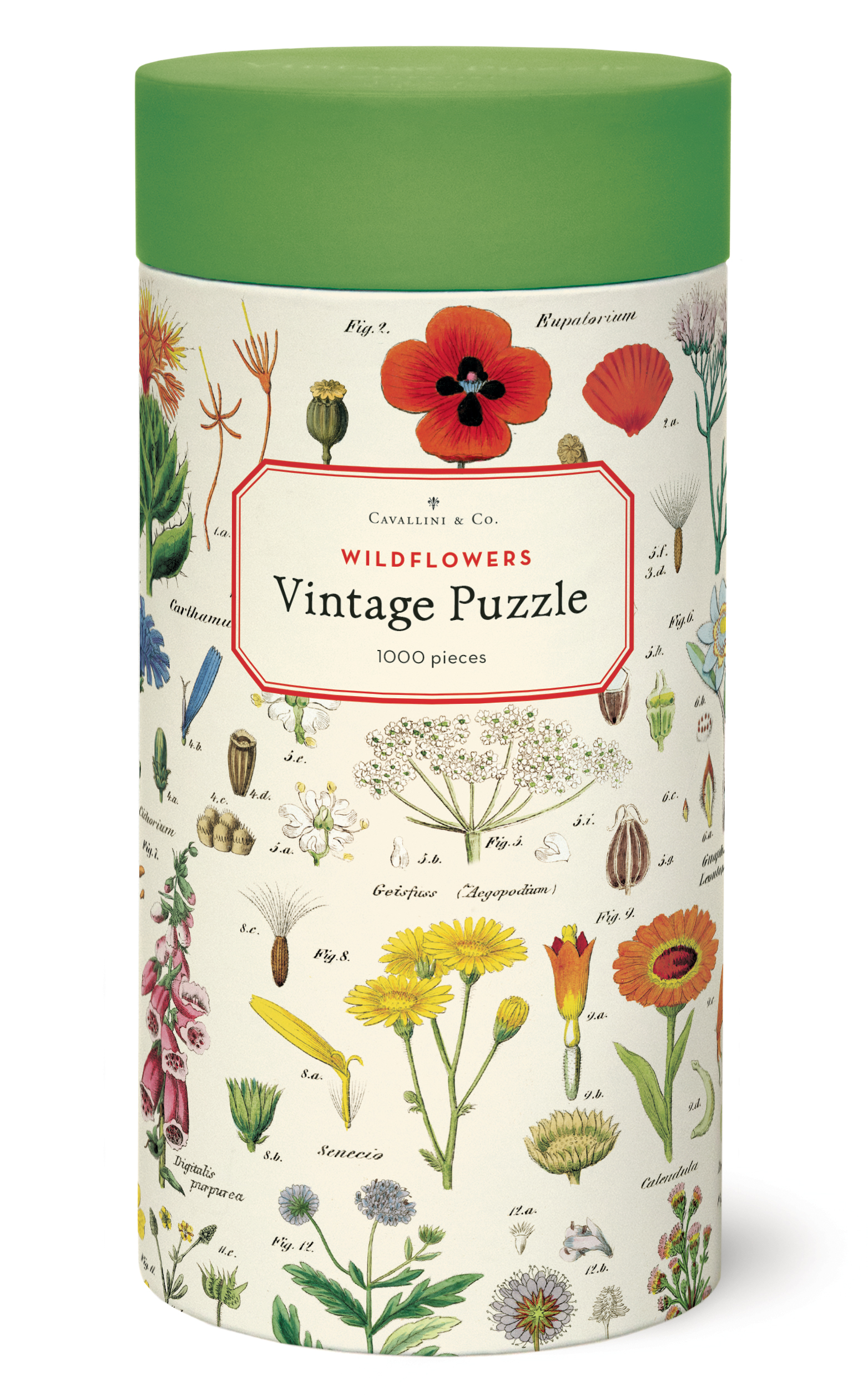 【CAVALLINI】野花 1000片拼圖