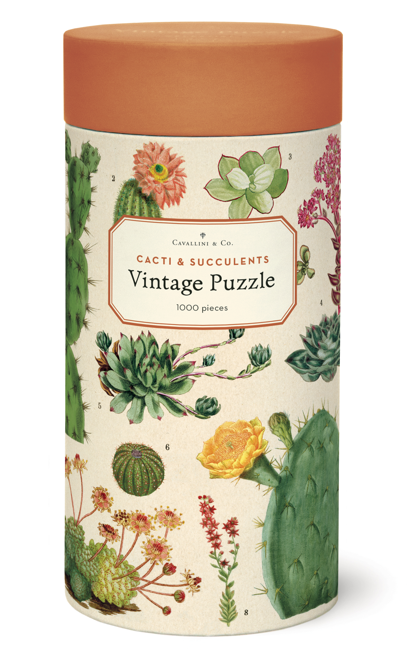【CAVALLINI】仙人掌 1000片拼圖