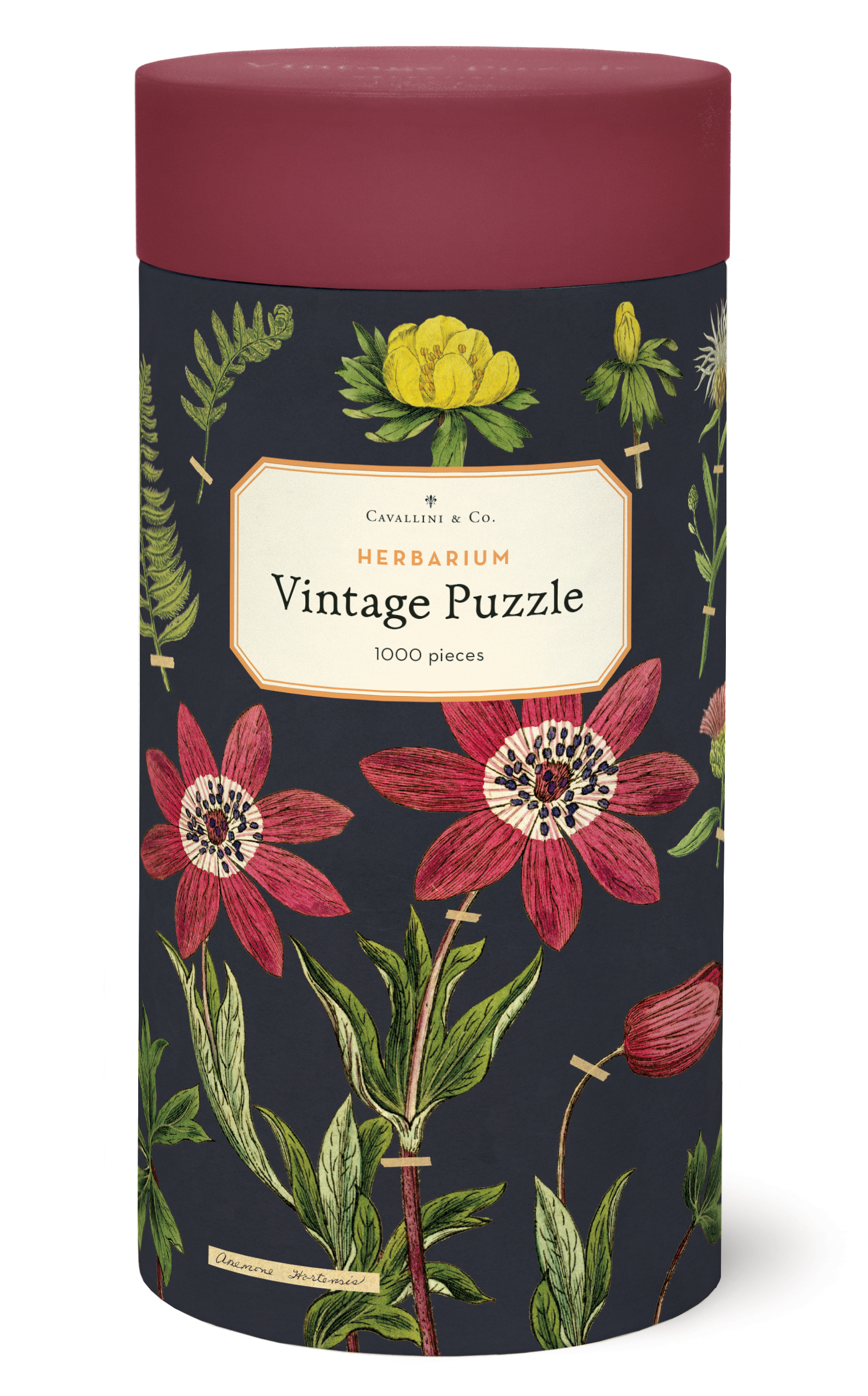 【CAVALLINI】植物圖 1000片拼圖