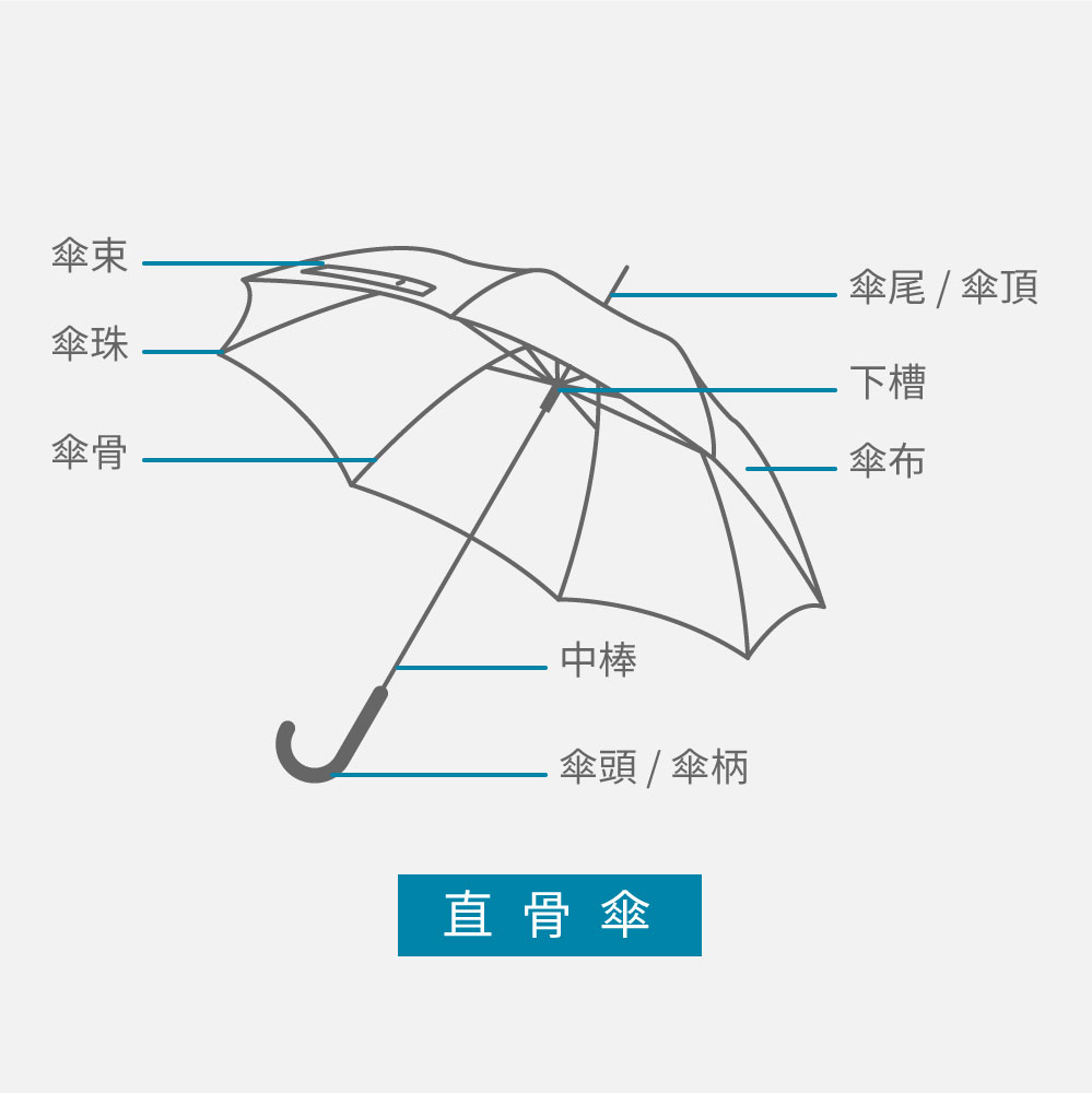 客製雨傘-直骨傘各部位名稱說明
