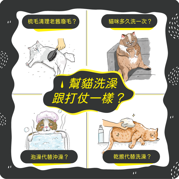 幫貓咪洗澡像打仗一樣