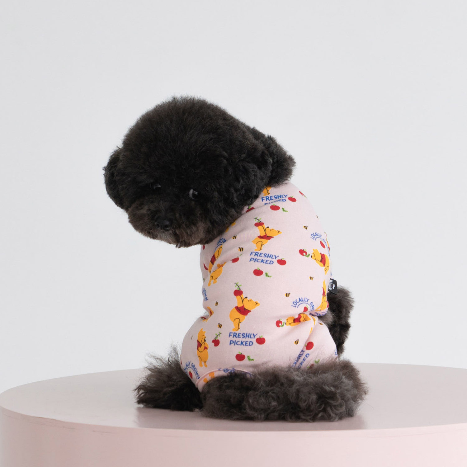 ★Dentist Appointment★ Disney logo 居家連身褲 （粉紅維尼）