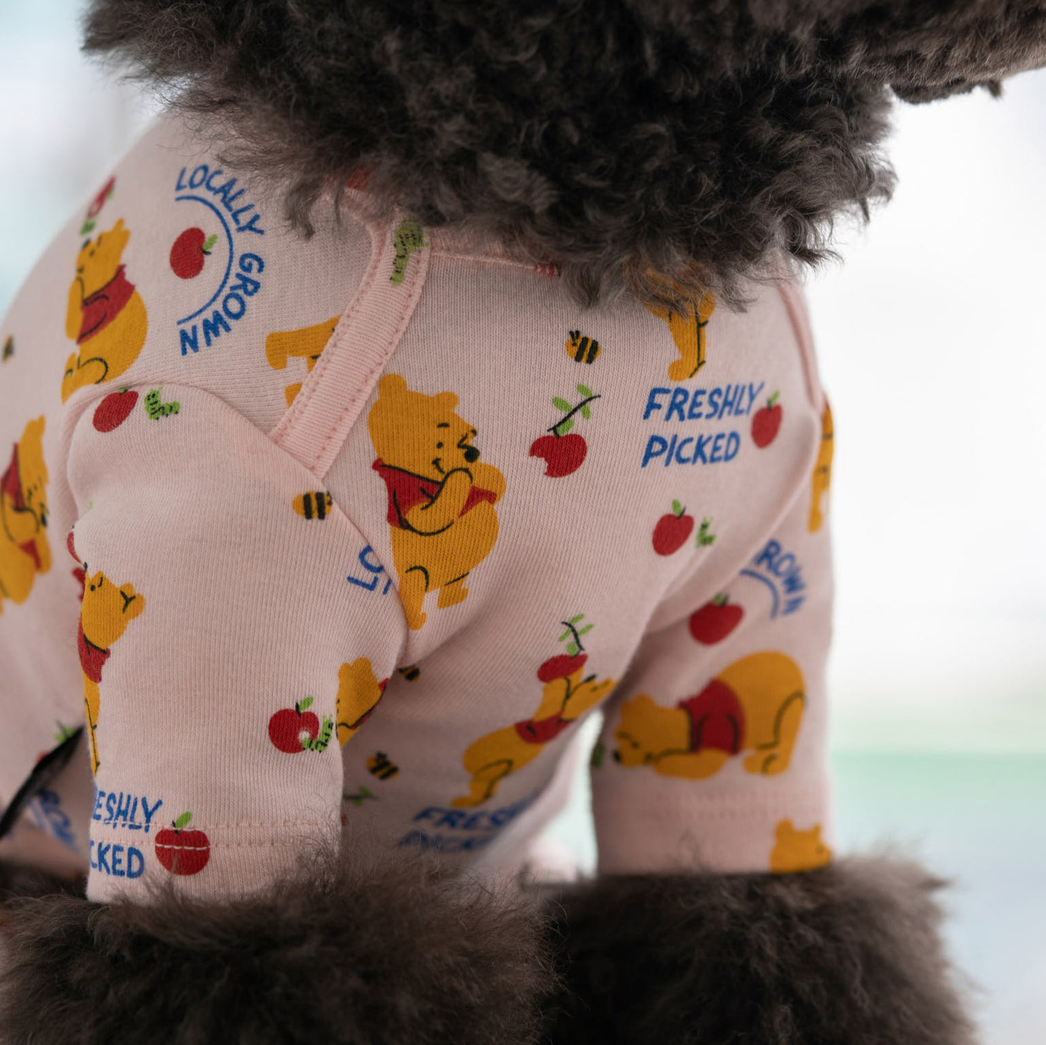 ★Dentist Appointment★ Disney logo 居家連身褲 （粉紅維尼）