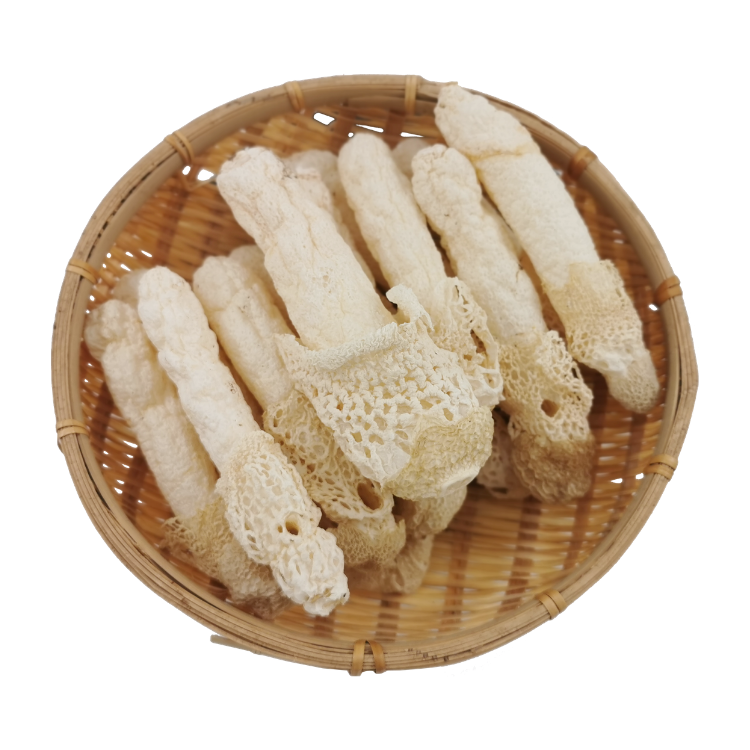 特選野生竹笙 (2両裝)