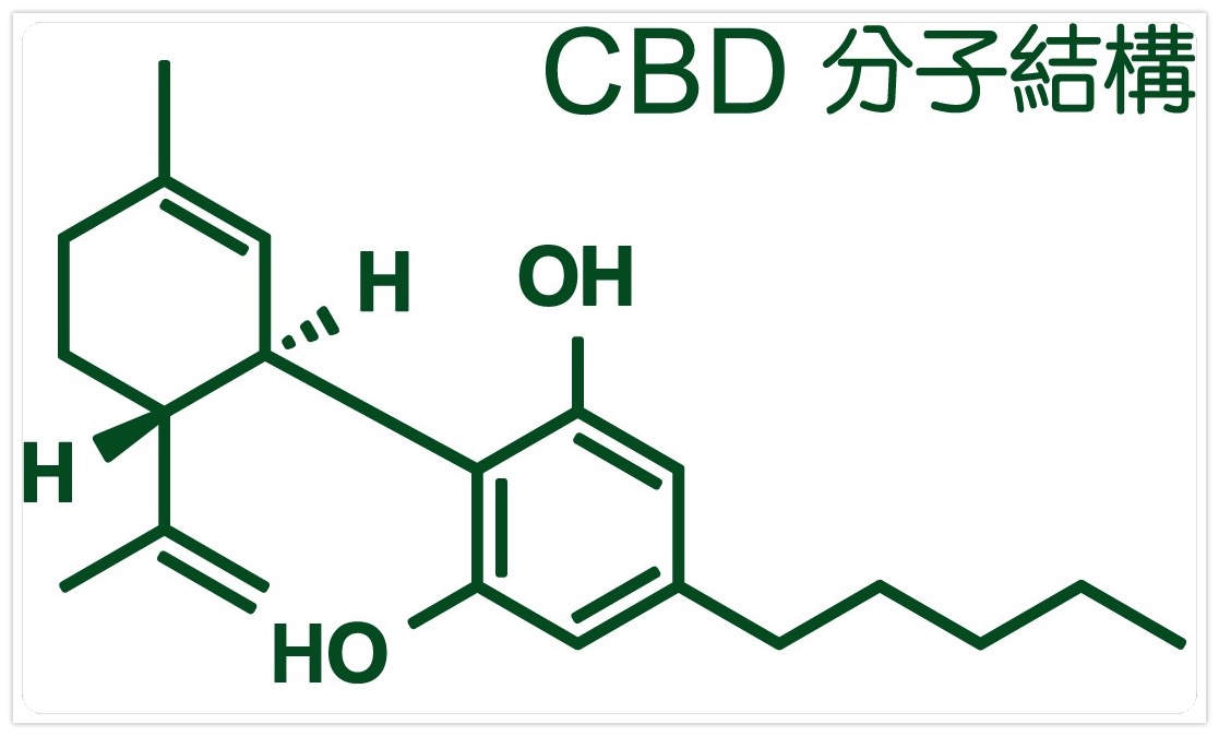 CBD 分子結構