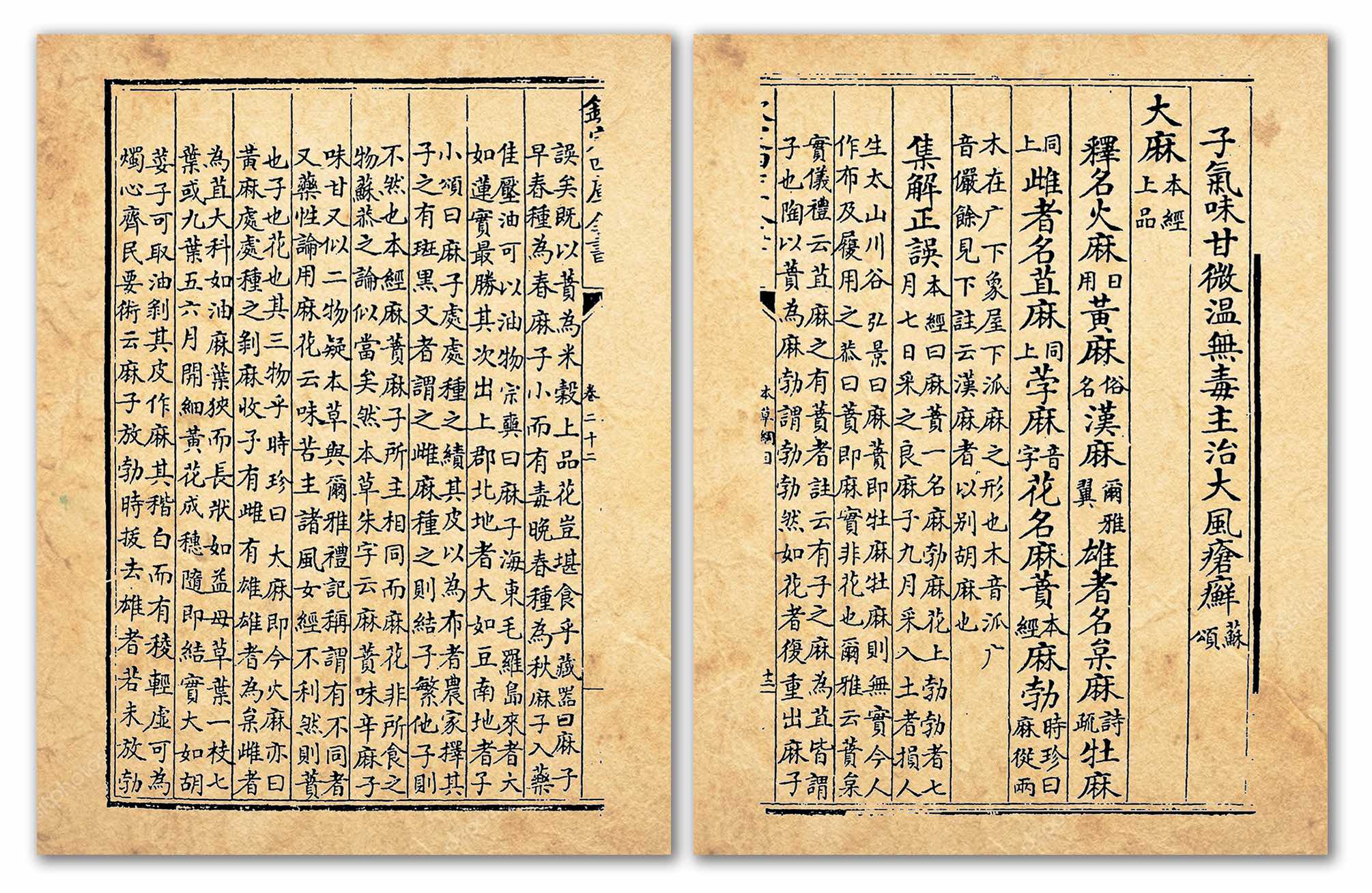 李時珍的《本草綱目》