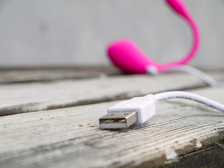 LOVENSE LUSH 2 穿戴智能跳蛋