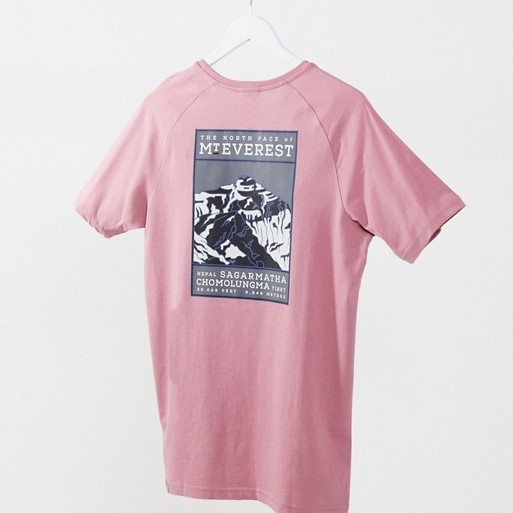 The North Face Mt Everest Tee Mesa Rose