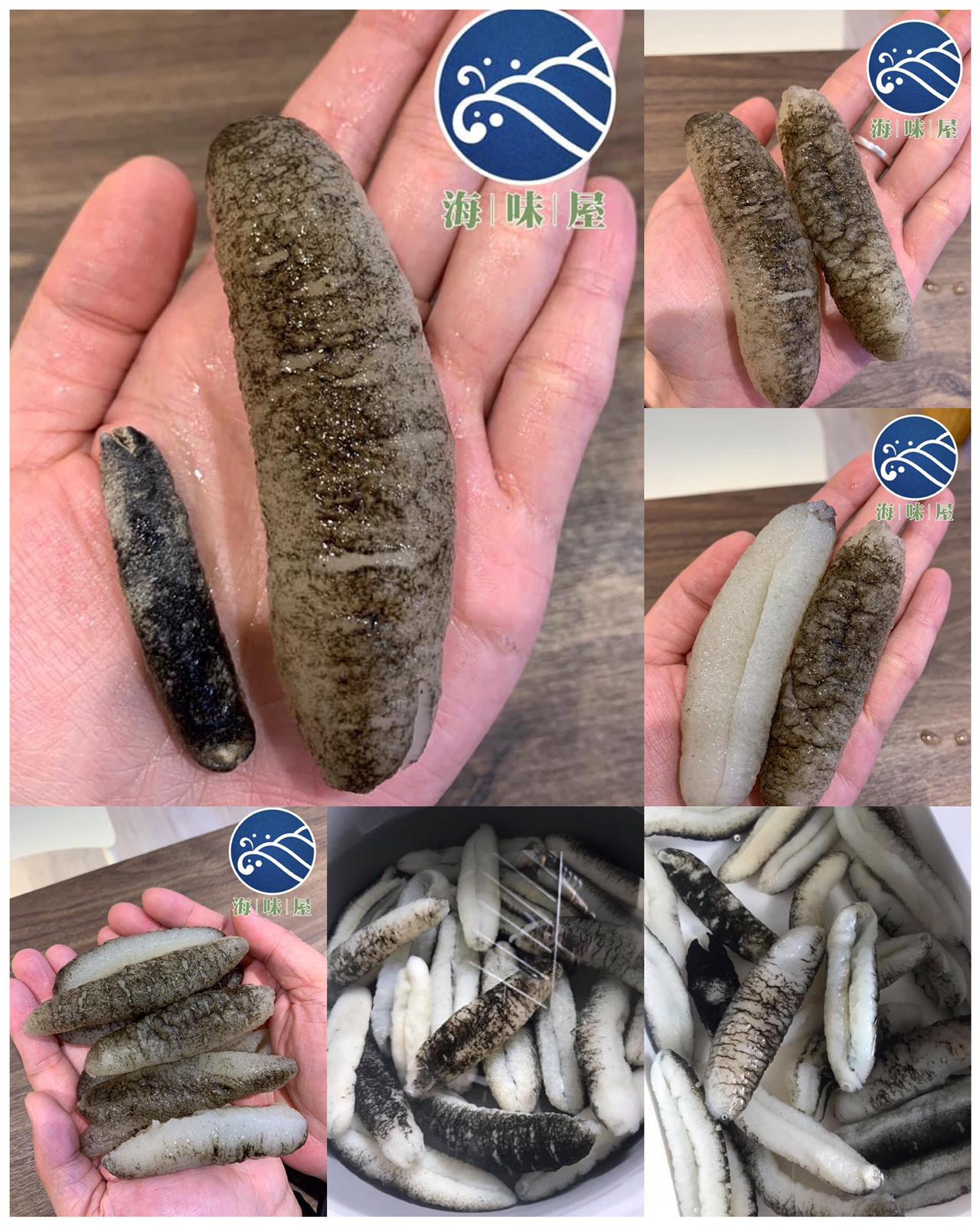 H19969 95 頭斯里蘭卡禿參 (4両)