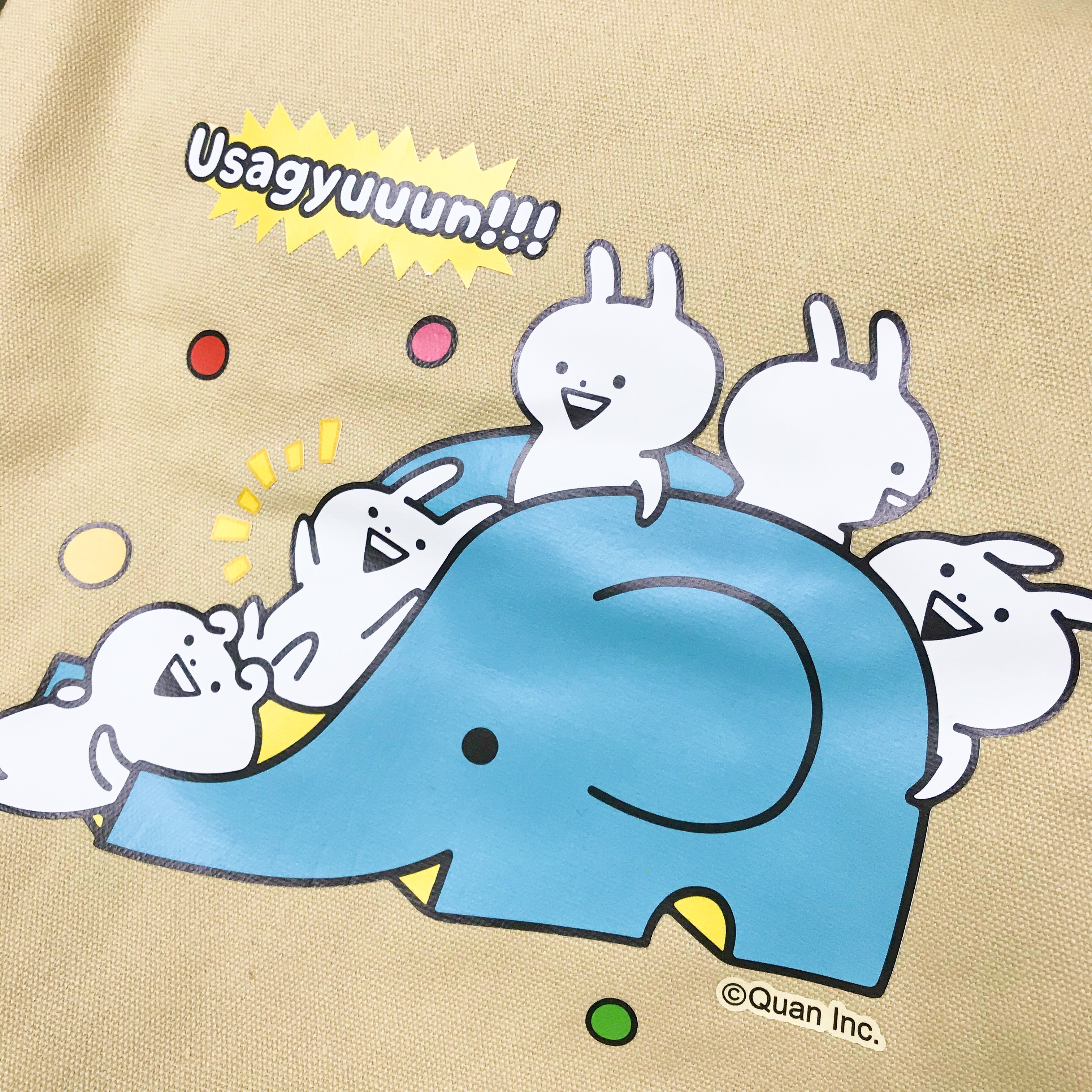 Usagyuuun-彩色斜背購物包-溜滑梯款