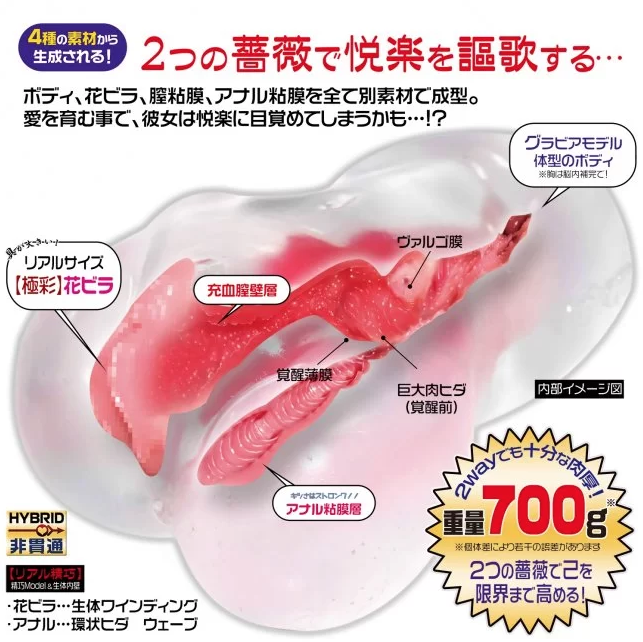 〔日本原裝進口〕  Magic Eyes 《極彩名器-Lavieen Roses 維納斯的花園》 硬版  (ラビアンローゼズ)  雙穴名器