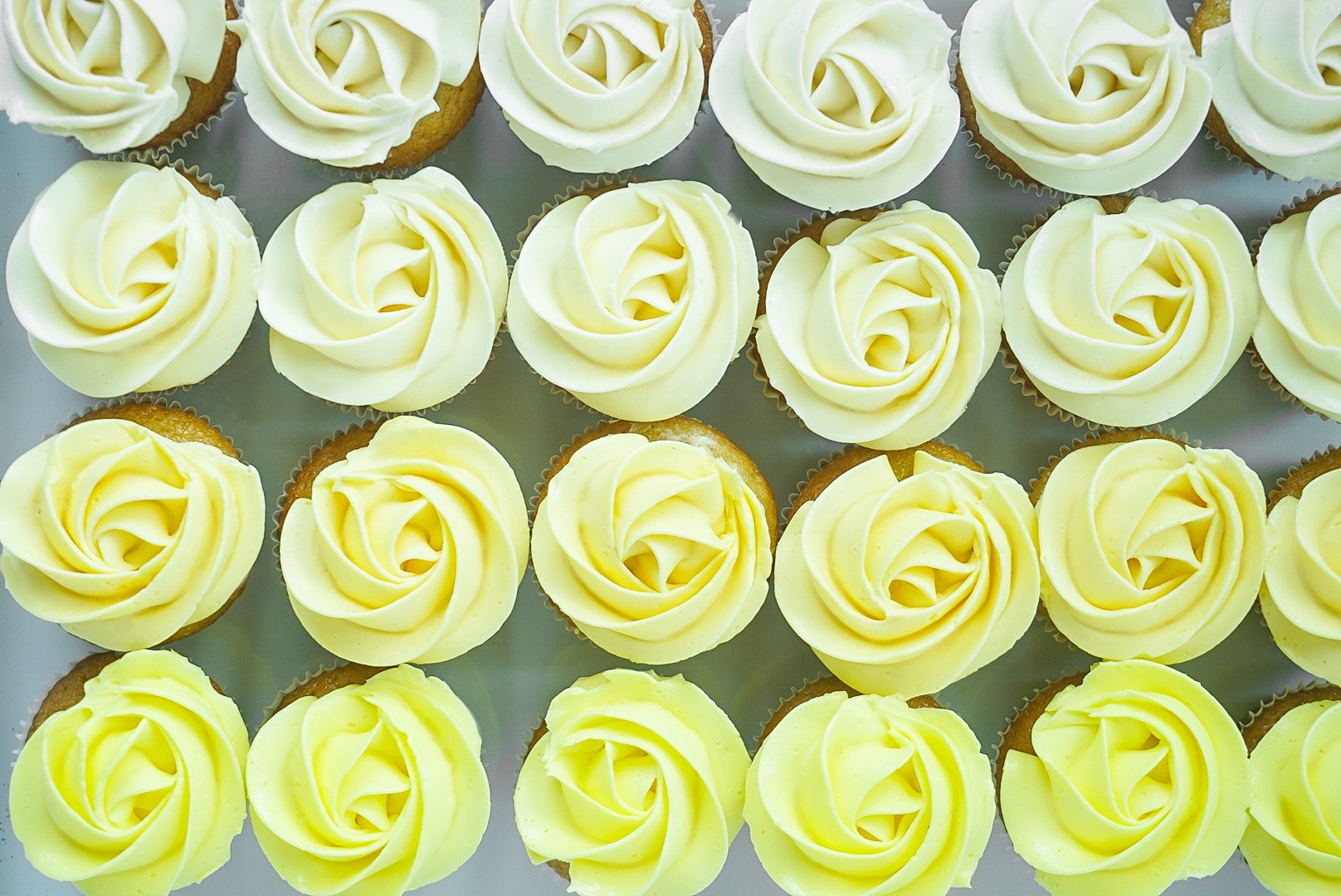 黃色迷你杯子蛋糕組合