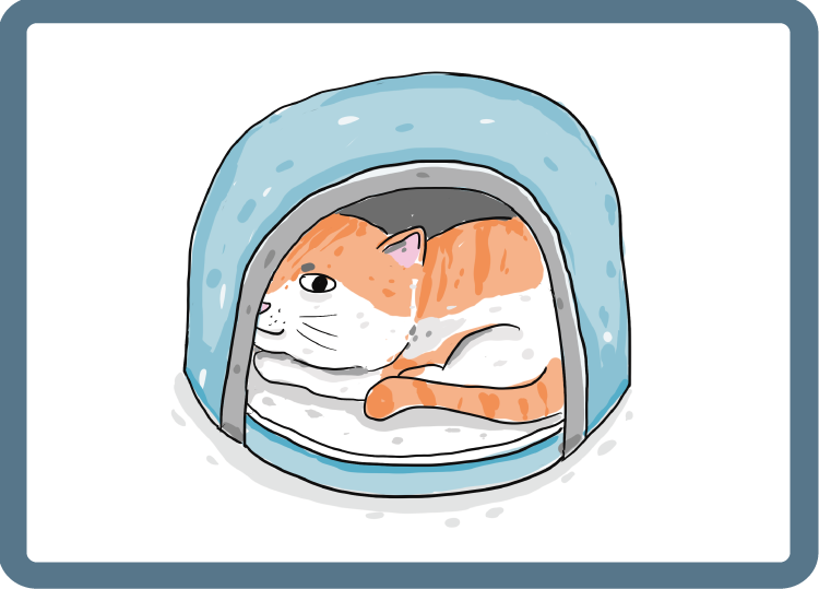 貓咪專屬安心小屋