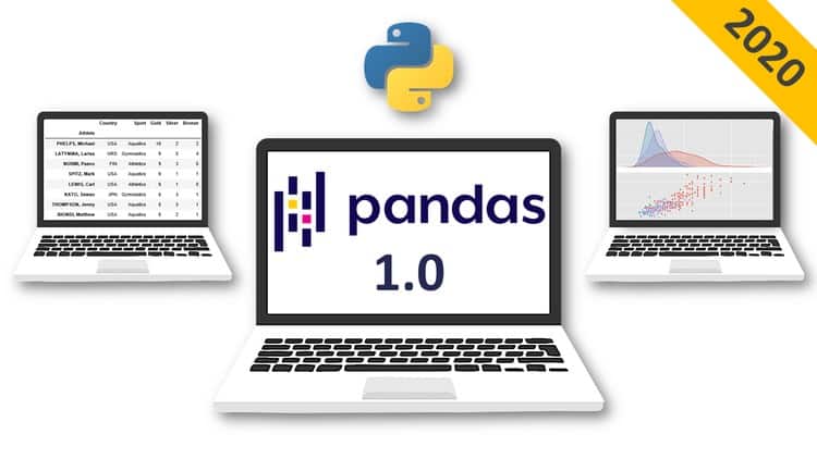 The Complete Pandas Bootcamp 2020 Data Science with Pyt