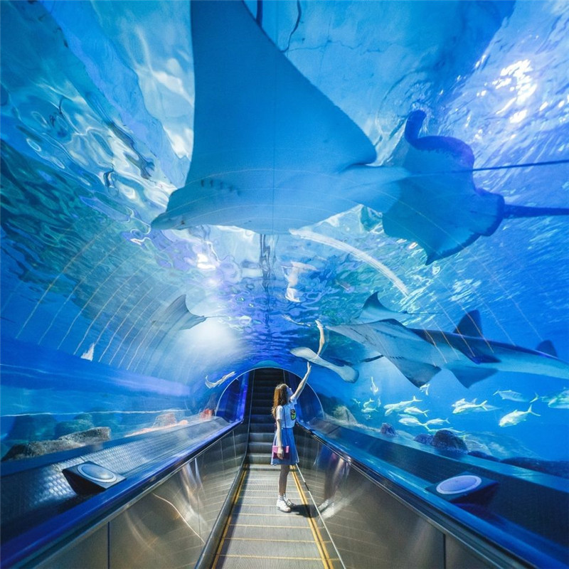 花蓮遠雄海洋公園 海底隧道