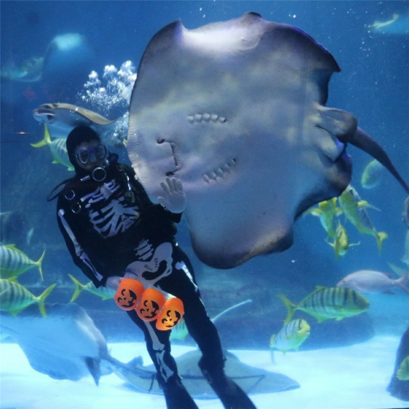 花蓮遠雄海洋公園 魟魚