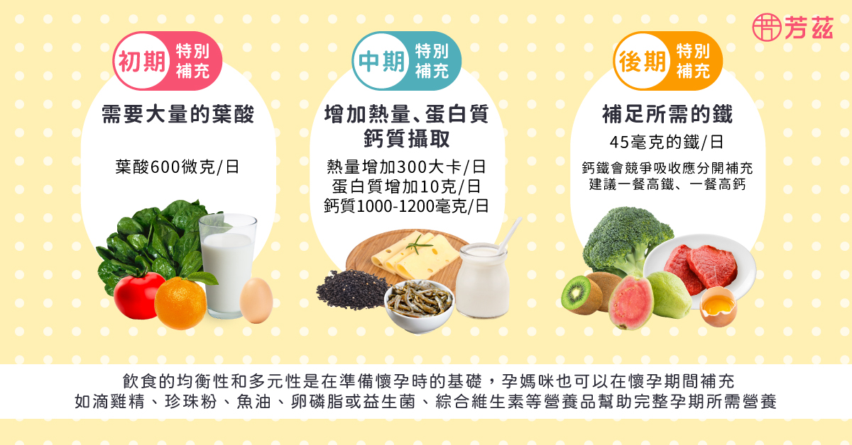 飲食的均衡性和多元性是在準備懷孕時的基礎，而懷孕後，胎兒在不同時期需要加強補給的營養素也不同，一起來看看懷孕初、中、後期及產後哺乳的飲食建議吧。