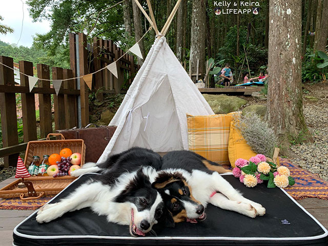 經典透芯涼睡墊-Kᴇʟʟʏ & Kᴇɪʀᴀ