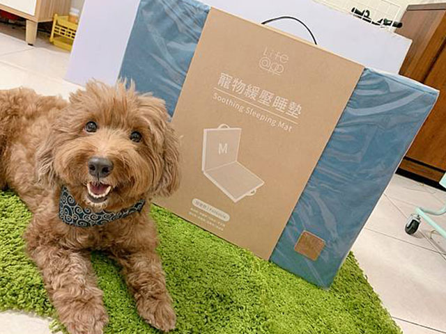 摺疊墊-Nike的吃貨成長日誌