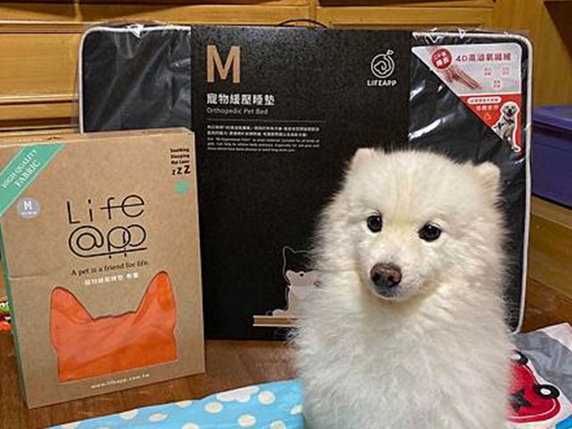 透芯涼睡墊-白狐狸寶寶家族