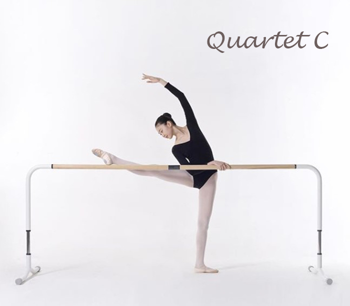 韓國 Barreinabag 教室用長型把桿 - TZ-Quartet C (高度可調)