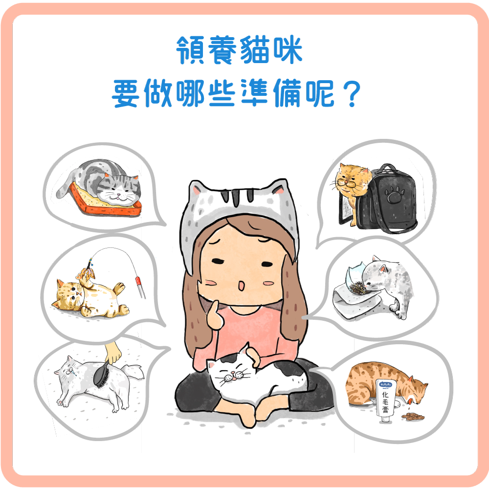 貓咪領養新手懶人包！養貓前，請先做好這些準備！