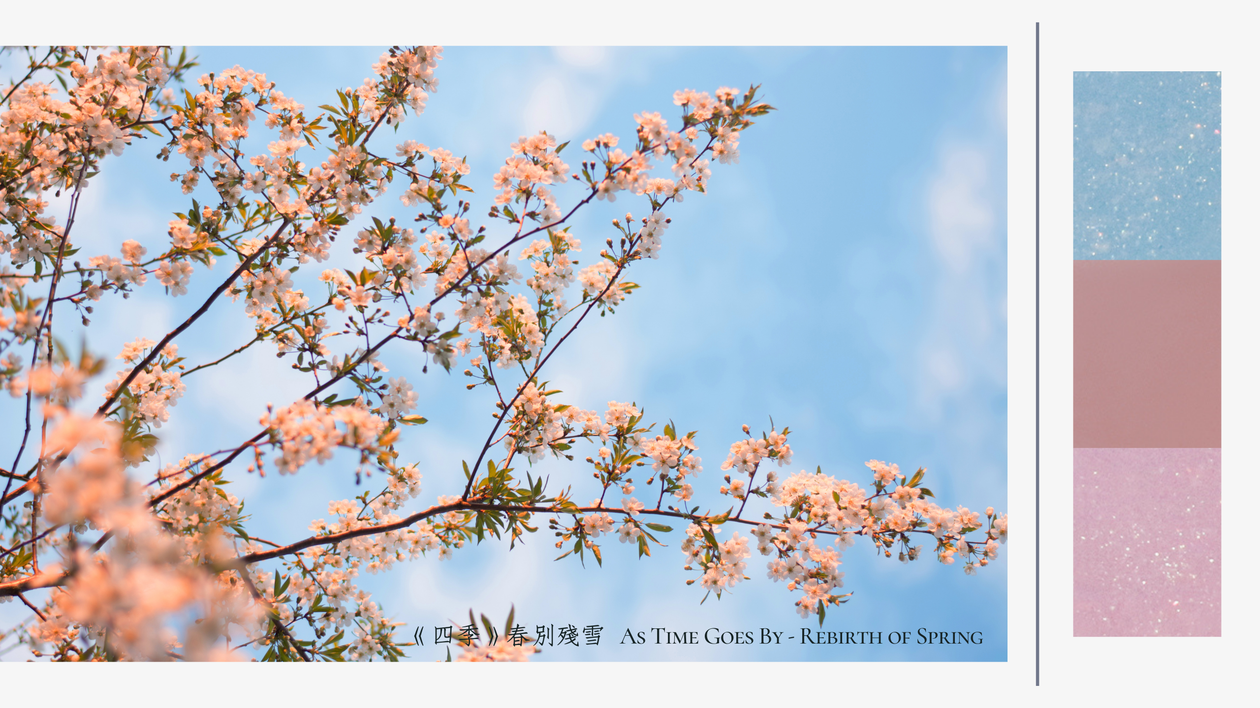 JNF 指甲油, JNF 首頁, JNF指甲油, JNF, 指甲油