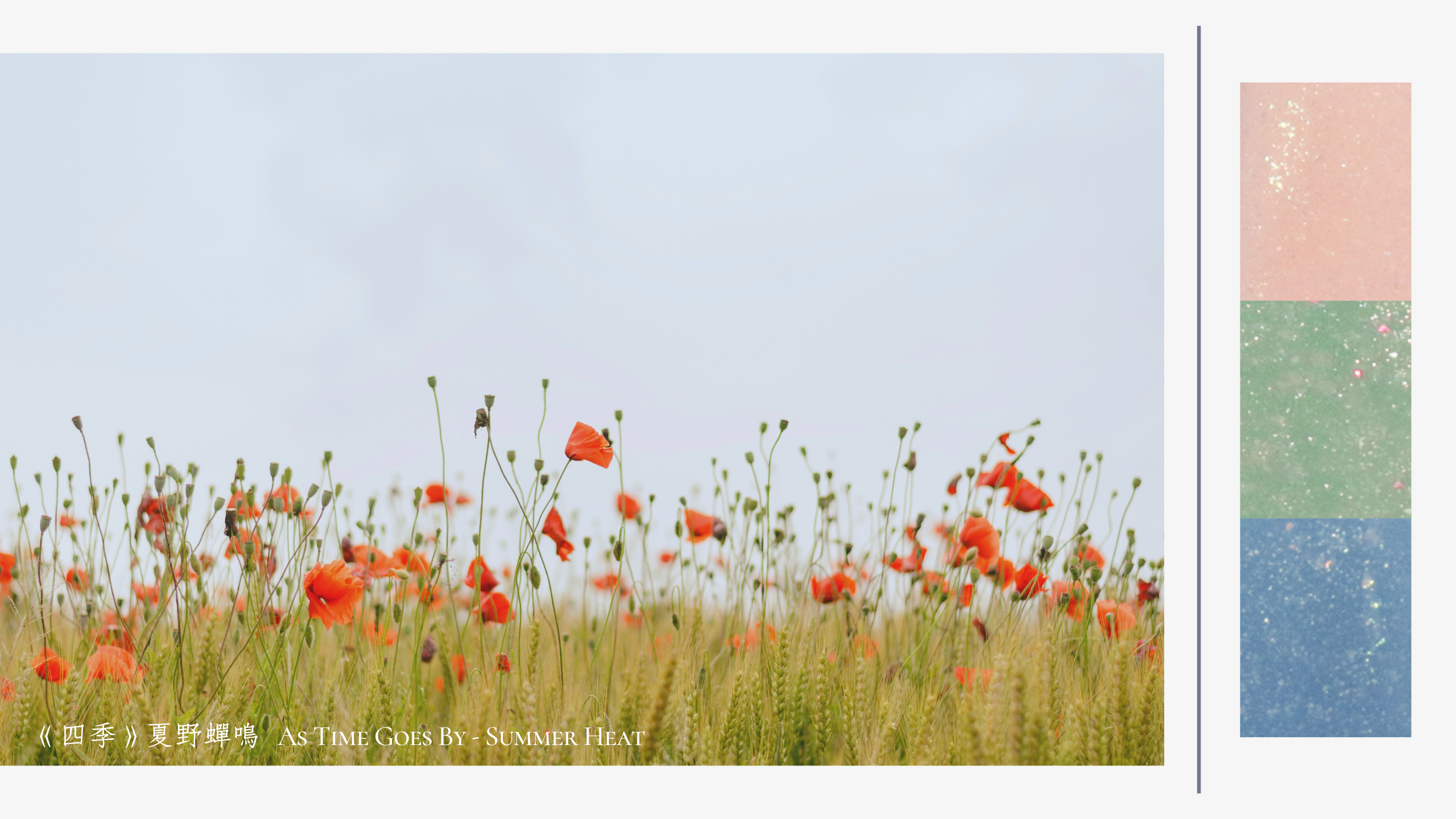 JNF 指甲油, JNF 首頁, JNF指甲油, JNF, 指甲油