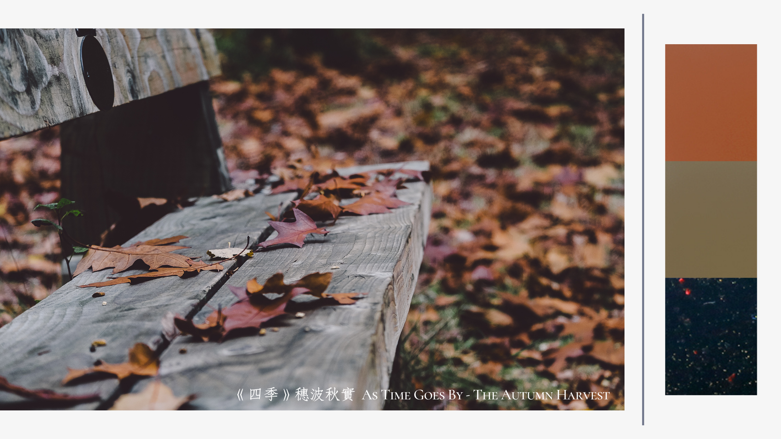 JNF 指甲油, JNF 首頁, JNF指甲油, JNF, 指甲油