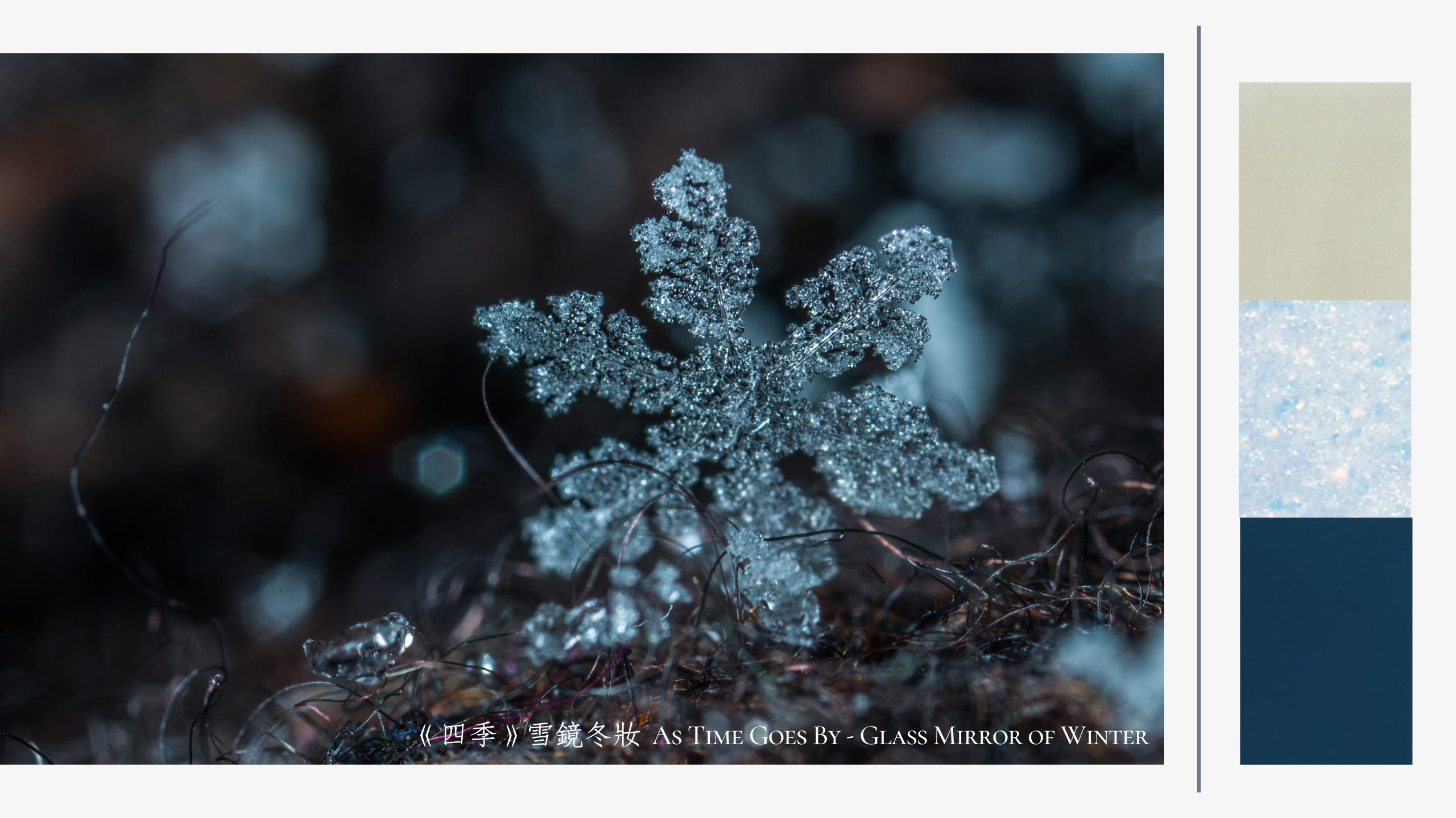 JNF 指甲油, JNF 首頁, JNF指甲油, JNF, 指甲油