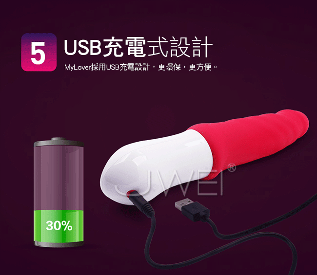 Mytoys  Mylover 愛人 自動抽插衝擊按摩棒充電介紹