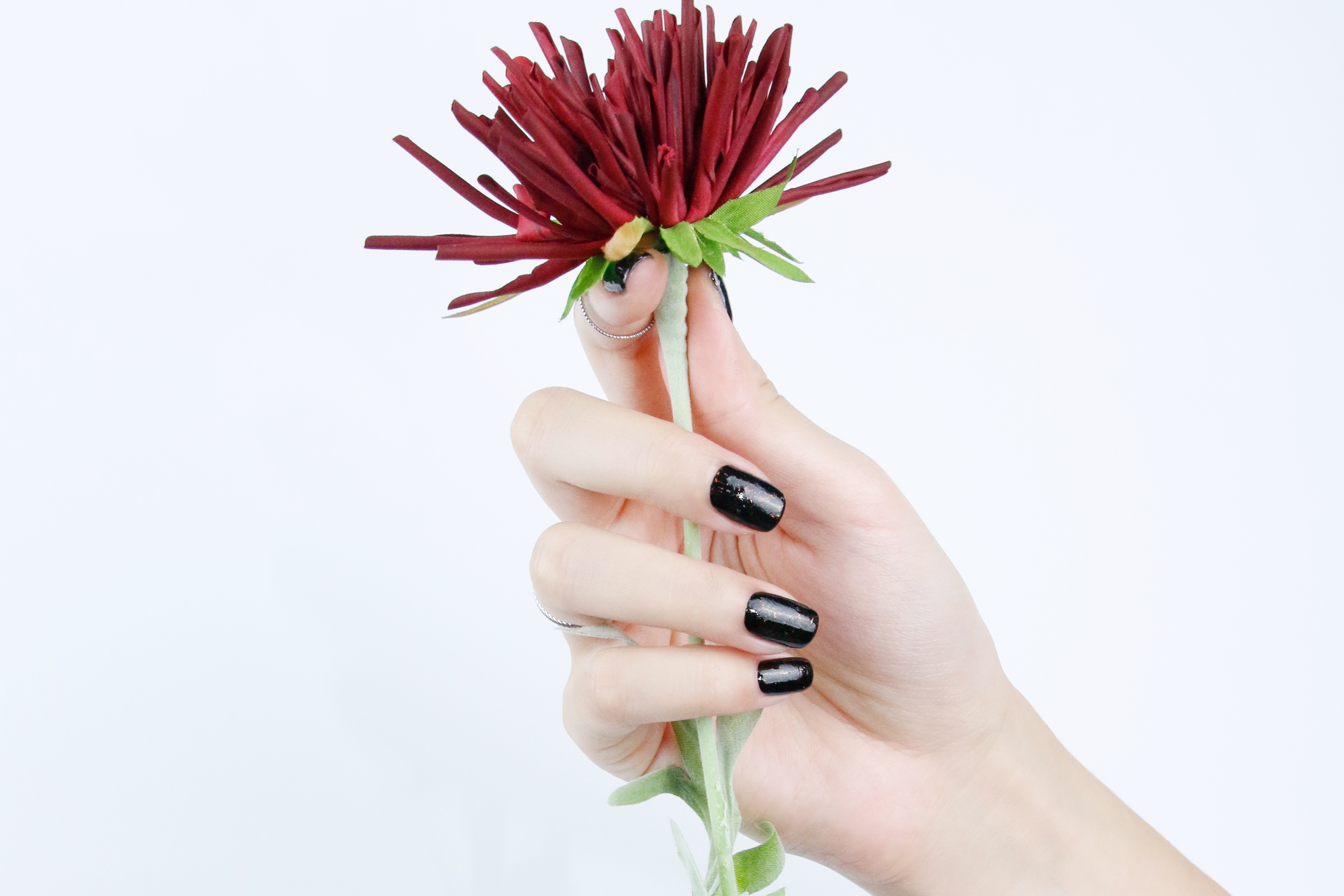 JNF 指甲油, JNF 首頁, JNF指甲油, JNF, 指甲油