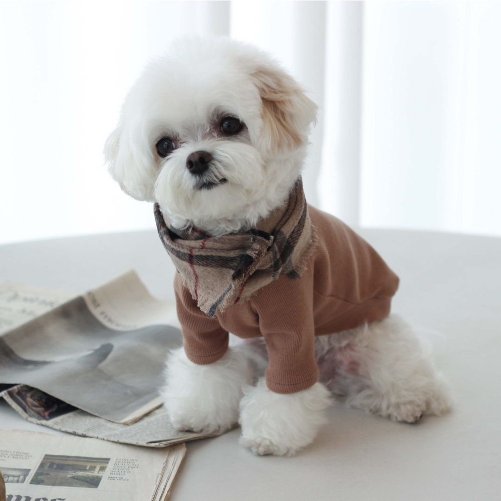 EYOU 經典格紋羊毛圍巾 駝色