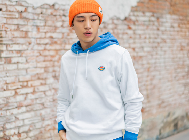 dickies Shorts 短褲 牌子 Carhartt hong kong 香港 鋪 shop