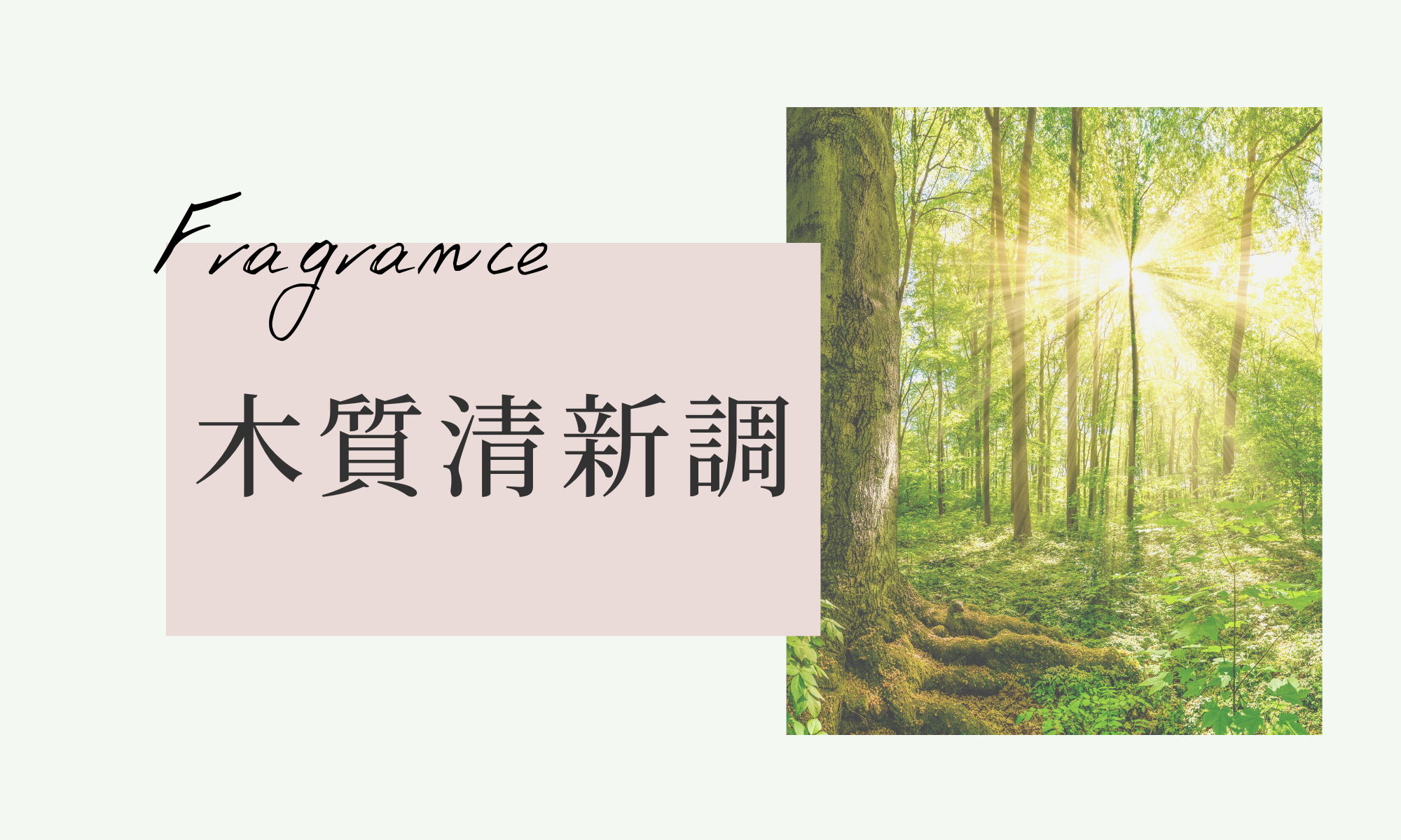 木質清新調香水