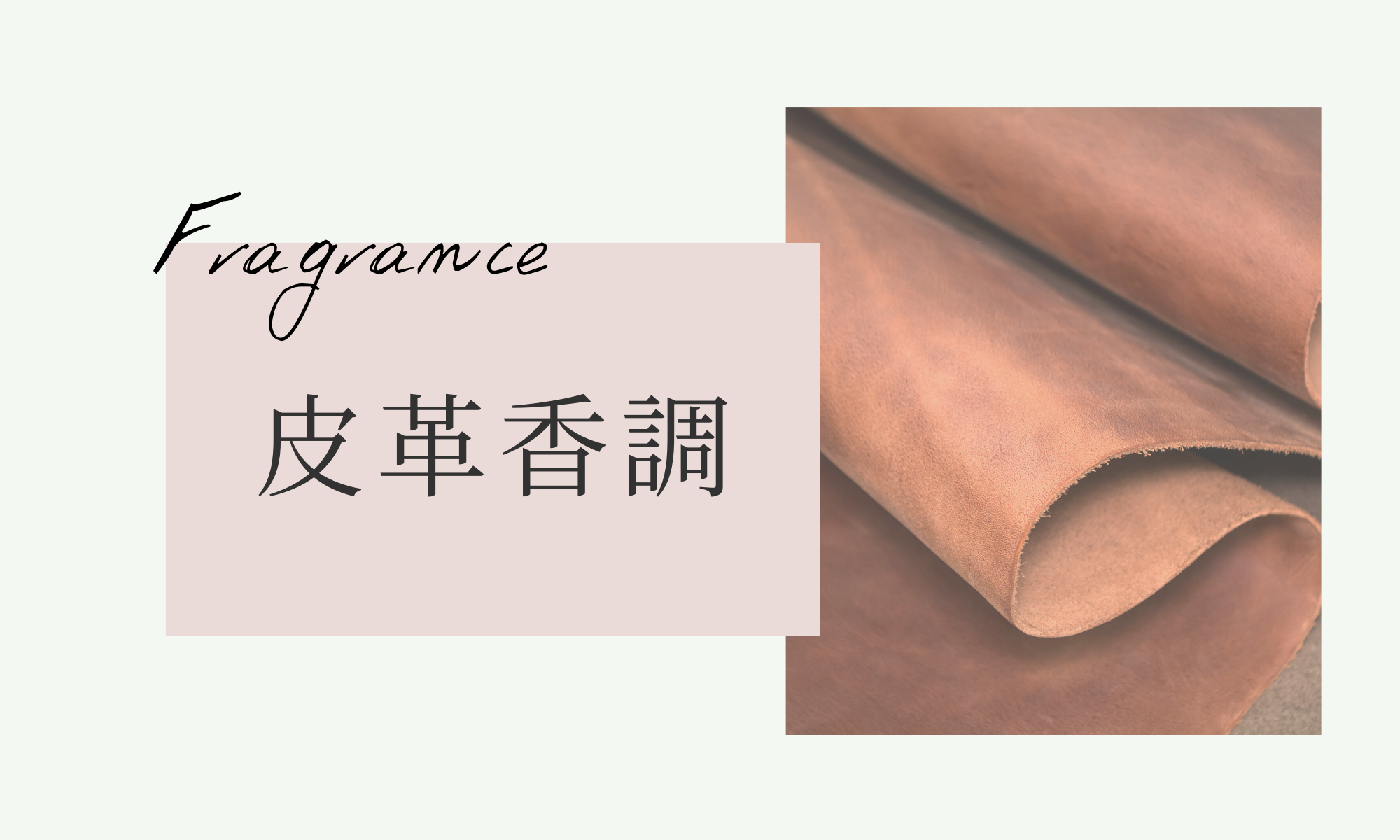 皮革香調